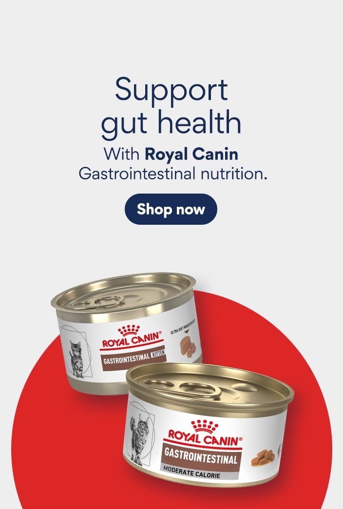 Support gut health with Royal Canin gastrointestinal nutrition.