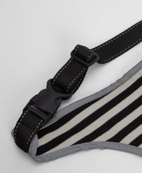 Barbour Evie Waterproof Dog Raincoat, Navy, Small slide 2 of 6