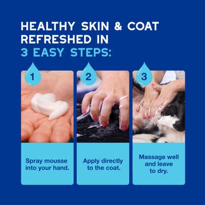 Show full view: Douxo Skin & Coat SPA Ultra-Safe Quick Refresh Leave-on Mousse for Dogs, 10-fl oz bottle slide 7 of 10