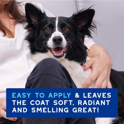 Show full view: Douxo Skin & Coat SPA Ultra-Safe Quick Refresh Leave-on Mousse for Dogs, 10-fl oz bottle slide 8 of 10