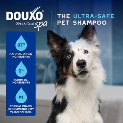 Show full view: Douxo Skin & Coat SPA Ultra-Safe Quick Refresh Leave-on Mousse for Dogs, 10-fl oz bottle slide 5 of 10