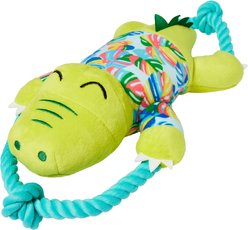 Frisco Summer Alligator Plush with Rope Squeaky Dog Toy, Medium/Large