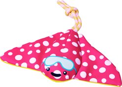 Frisco Summer Stingray Neoprene Plush with Rope Squeaky Floating Dog Toy, Medium