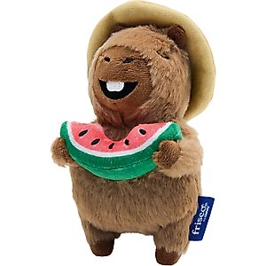 Frisco Capybara Plush Squeaky Dog Toy, Small/Medium
