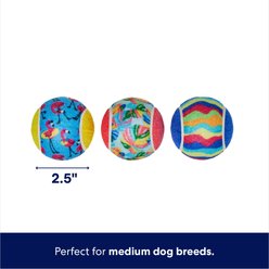 Frisco Summer Fetch Squeaky Tennis Ball Dog Toy, Medium, 3 count slide 2 of 5
