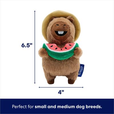 Show full view: Frisco Capybara Plush Squeaky Dog Toy, Small/Medium slide 2 of 8