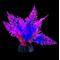 Show in main carousel: Underwater Treasures Glo Fern Fish Ornament, Purple, Small slide 2 of 2