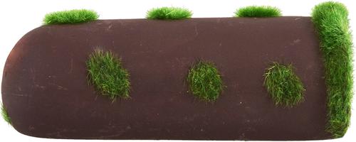 Show full view: Underwater Treasures Ceramic Tubes Mossy Fish Ornament slide 2 of 3