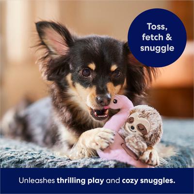 Show full view: Frisco Sloth in Flamingo Float Plush Squeaky Dog Toy, Small/Medium slide 4 of 7