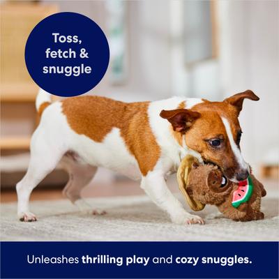 Show full view: Frisco Capybara Plush Squeaky Dog Toy, Small/Medium slide 4 of 8