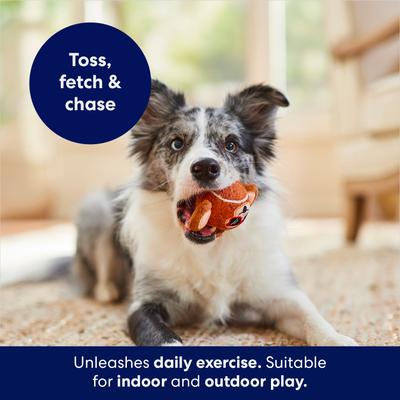 Show full view: Frisco Summer Monkey Fetch Squeaky Tennis Ball Dog Toy, Medium slide 4 of 7