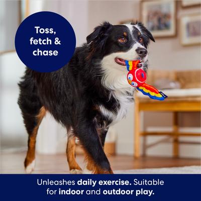Show full view: Frisco Summer Parrot Fetch Squeaky Tennis Ball Dog Toy, Medium/Large slide 3 of 7