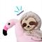 Show in main carousel: Frisco Sloth in Flamingo Float Plush Squeaky Dog Toy, Small/Medium slide 3 of 7