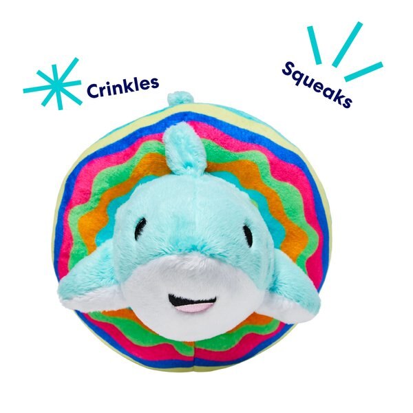 Frisco Shark in Pool Ring Plush Squeaky Dog Toy
