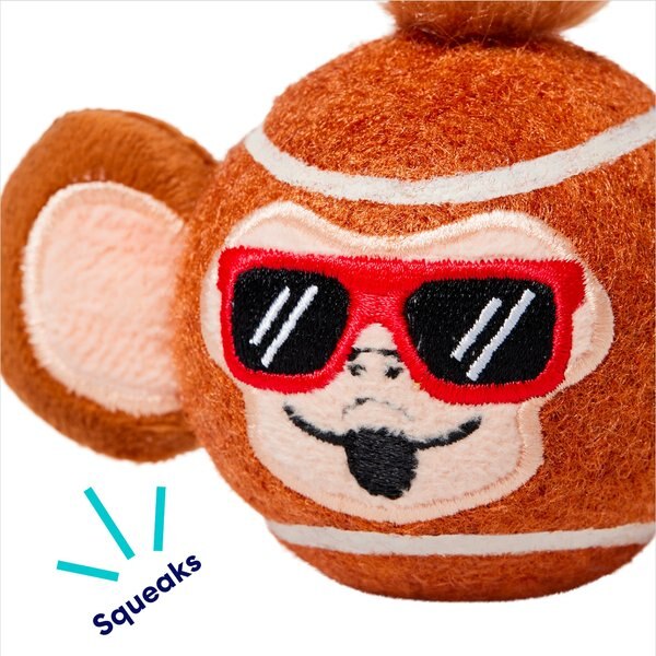 Frisco Summer Monkey Fetch Squeaky Tennis Ball Dog Toy