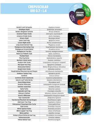 Show full view: Reptile Systems T5 Ferguson Zone 1 2.4% Reptile Lamp, 12-In, 8-watt slide 7 of 8