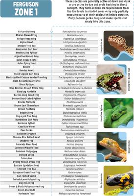 Show full view: Reptile Systems Eco T5 Unit Zone 1 Reptile Lighting Kit 2.4%, 48-In, 54-watt slide 7 of 9