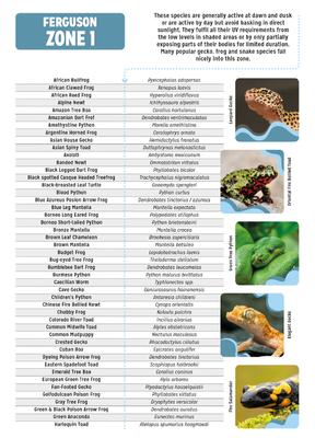 Show full view: Reptile Systems T5 Ferguson Zone 1 2.4% Reptile Lamp, 12-In, 8-watt slide 6 of 8