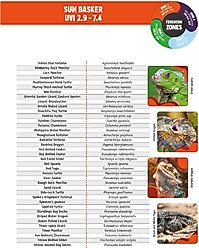 Reptile Systems T5 Ferguson Zone 3 Fluorescent 8-watt Reptile Lamp, 12-in slide 2 of 9