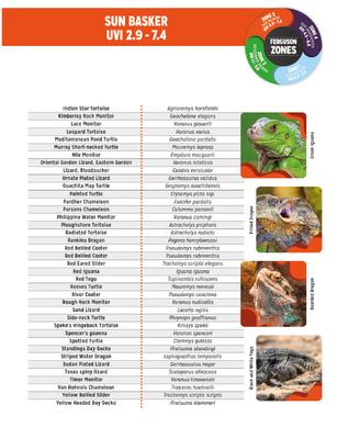Show full view: Reptile Systems Eco T5 Unit Zone 3 Reptile Lighting Kit 12%, 24-In, 24-watt slide 8 of 9