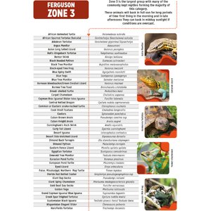 Reptile Systems T5 Ferguson Zone 3 12% HO UVB Desert Reptile Lamp, 34-in, 39-watt
