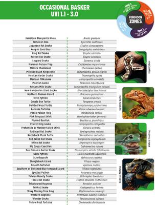 Show full view: Reptile Systems T5 Ferguson Zone 2 6% Forest Reptile Lamp, 24-In, 24-watt slide 7 of 8