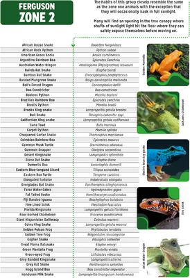 Show full view: Reptile Systems T5 Ferguson Zone 2 6% Forest Reptile Lamp, 24-In, 24-watt slide 6 of 8