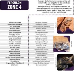 Reptile Systems T5 Ferguson Zone 4 15% Desert Reptile Lamp, 36-In, 39-watt slide 2 of 7