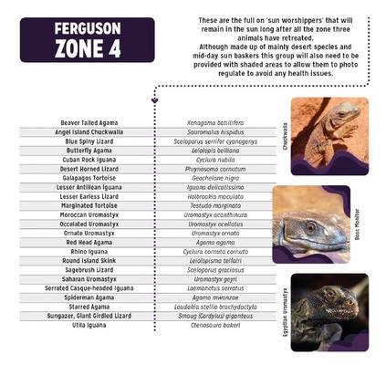 Show full view: Reptile Systems T5 Ferguson Zone 4 15% Desert Reptile Lamp, 24-In, 24-watt slide 6 of 8