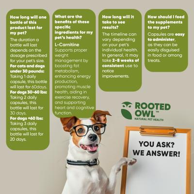 Show full view: Rooted Owl Natural Weight Management Vegan Capsules Supplement for Dogs & Cats, 60 count slide 9 of 11