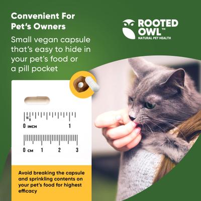 Show full view: Rooted Owl Natural Weight Management Vegan Capsules Supplement for Dogs & Cats, 60 count slide 6 of 11