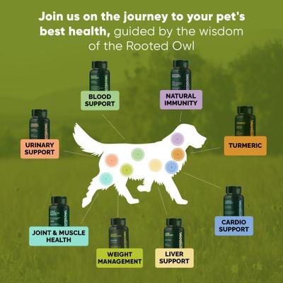 Show full view: Rooted Owl Natural Weight Management Vegan Capsules Supplement for Dogs & Cats, 60 count slide 8 of 11