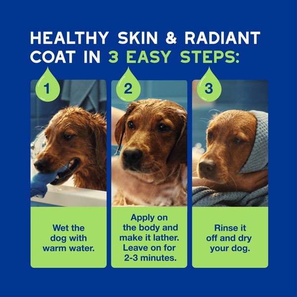 Douxo Skin & Coat SPA UltraSafe Puppy Shampoo, 16-fl oz bottle