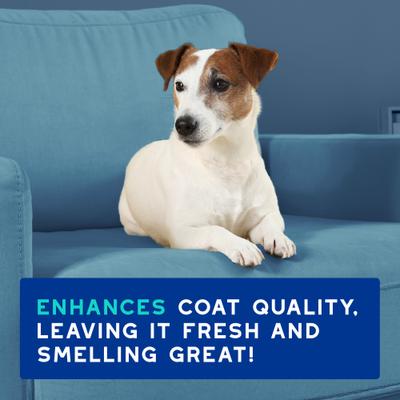 Show full view: Douxo Skin & Coat SPA UltraSafe Odor Control Dog Shampoo, 16-fl oz bottle slide 8 of 10