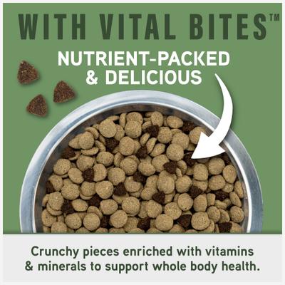 Show full view: Natural Balance Specialized Nutrition Digestive & Immune Health Adult Lamb & Oatmeal Formula Dry Dog Food, 22-lb bag slide 7 of 12