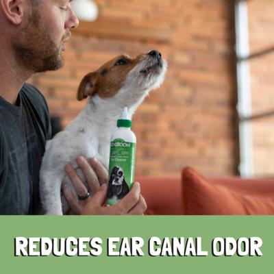 Show full view: Bio-Groom Ear Care Non-Oily Dog Ear Cleaner, 4-fl oz bottle slide 3 of 5