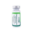 BotVax B Vaccine for Horses, 10-mL vial - 5 Doses