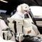 Show in main carousel: Pawseat Dog Safety Car Booster Seat & Carrier, Small, Beige slide 8 of 11