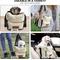 Show in main carousel: Pawseat Dog Safety Car Booster Seat & Carrier, Small, Beige slide 6 of 11