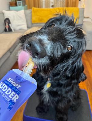 Show full view: Bark Bistro Company Buddy Budder Mix Flavor Squeeze Lickable Dog Treat, 4-oz pouch, 9 count slide 4 of 9