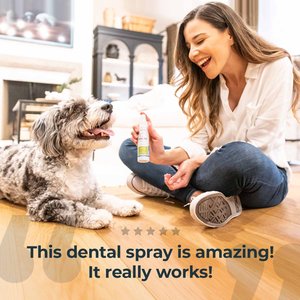 Oxyfresh Dog & Cat Dental Spray, 8-fl oz bottle
