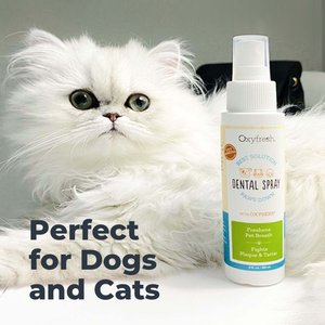 Oxyfresh Dog & Cat Dental Spray, 8-fl oz bottle