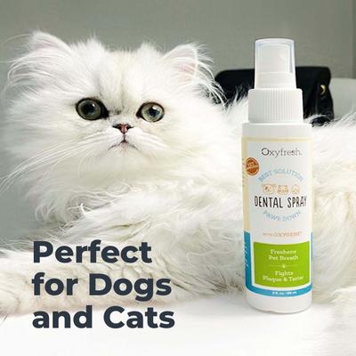 Show full view: Oxyfresh Dog & Cat Dental Spray, 8-fl oz bottle slide 8 of 11