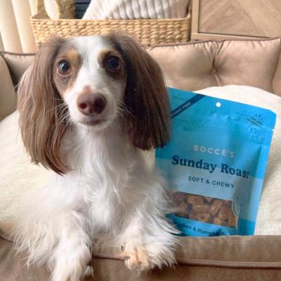 Show full view: Bocce's Bakery Say Moo Beef & Cheddar Recipe Soft & Chewy Dog Treats, 6-oz bag + Sunday Roast Chicken & Pumpkin Recipe Soft & Chewy Dog Treats, 6-oz bag slide 8 of 9