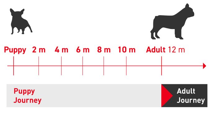 Royal Canin Breed Health Nutrition French Bulldog Adult Dry Dog Food