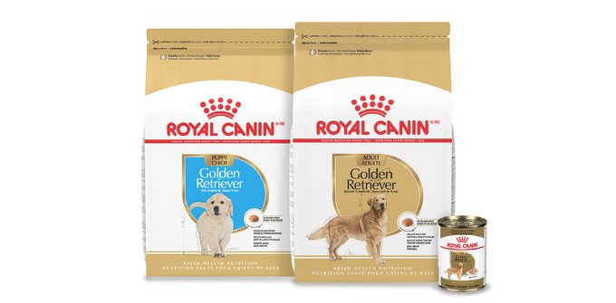 ROYAL CANIN Breed Health Nutrition Golden Retriever Puppy Dry Dog