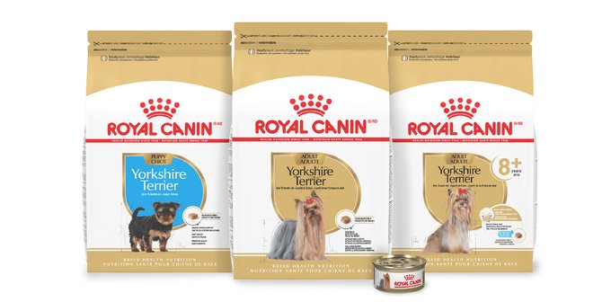 Royal Canin Breed Health Nutrition Yorkshire Terrier Adult Dry Dog Food