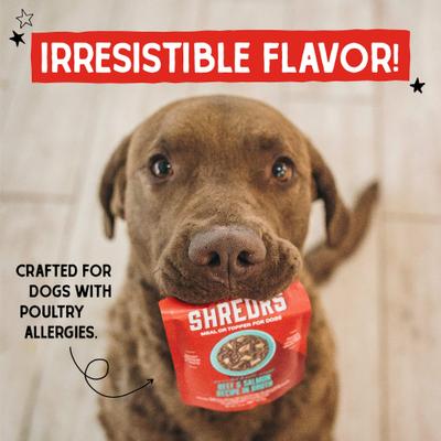 Show full view: Stella & Chewy's Stella's Shredrs Adult Grain-Free Grass Fed Beef & Wild Caught Salmon Recipe in Broth Wet Dog Food, 2.8-oz pouch, case of 12 slide 3 of 10