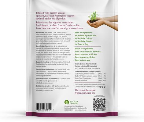 Show full view: Pet Greens Li'l Treats Beef Flavor Soft & Chewy Dog Treats, 6-oz bag slide 3 of 3