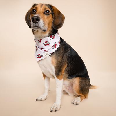 Show full view: The Paws Valentine's Day Love Mom Dog Bandana, Red, Large slide 3 of 8